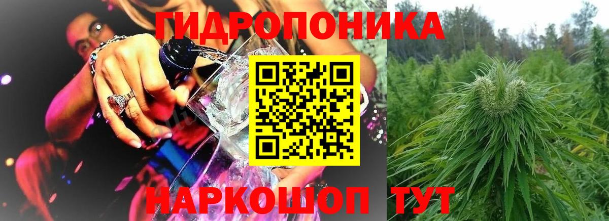 Бошки Шишки OG Kush  Шишки марихуана VHQ  Вход с VPN  Севастополь 